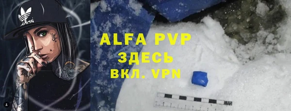 стафф Алексин