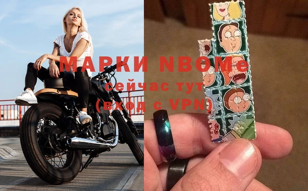 стафф Алексин