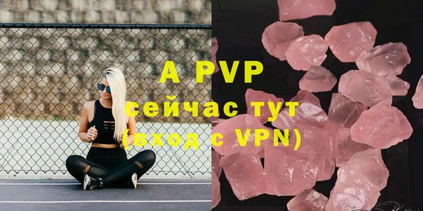стафф Алексин