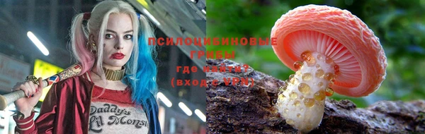 стафф Алексин